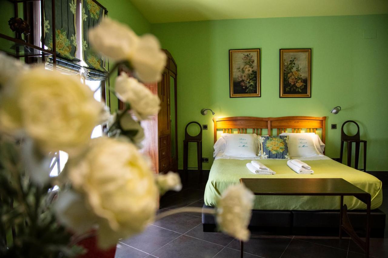 Apartment Palacio Sirvente Mieres - Parking Gratuito